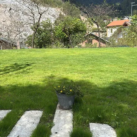 Pom Del Paradiso - Ai Meli - Dolomites * Lozzo Cadore