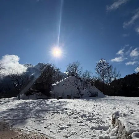 Pom Del Paradiso - Ai Meli - Dolomites Lozzo Cadore